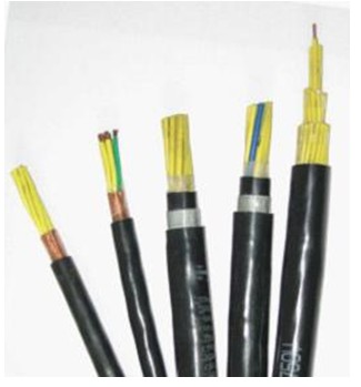 額定電壓450/750V聚氯乙烯絕緣控制電纜